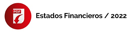 Estados Financieros; Sky ambulances