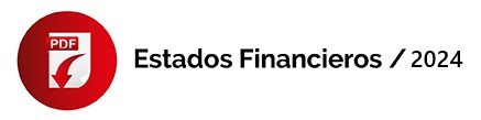 Estados Financieros; Sky ambulances